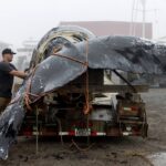 Proposed House Bill Would Weaken Marine Mammal Protection Act, Endangering Whales, Dolphins and More
