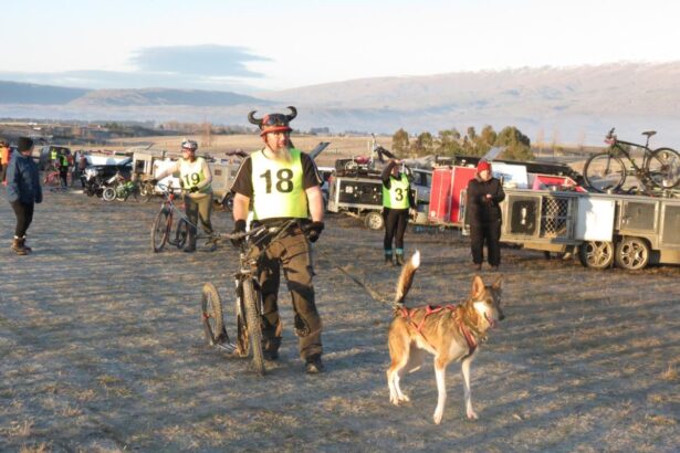 Sled dog race howling good time