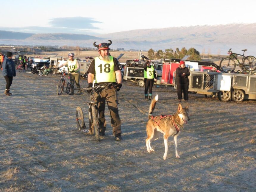 Sled dog race howling good time