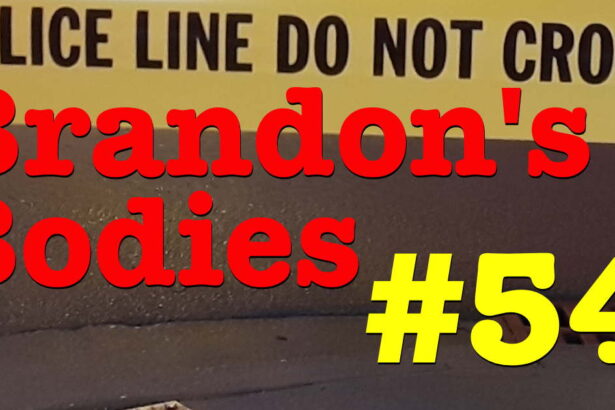 South Shore teen shot in drive-by; police response delayed 18 minutes by ShotSpotter removal