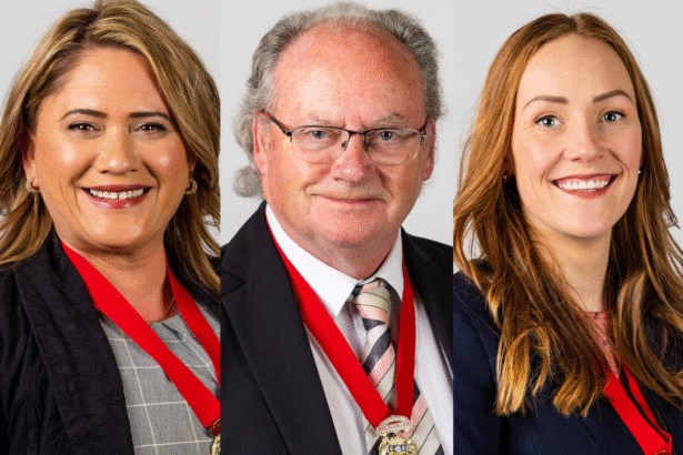 Southern mayoral hopeful’s website ‘horrendous’