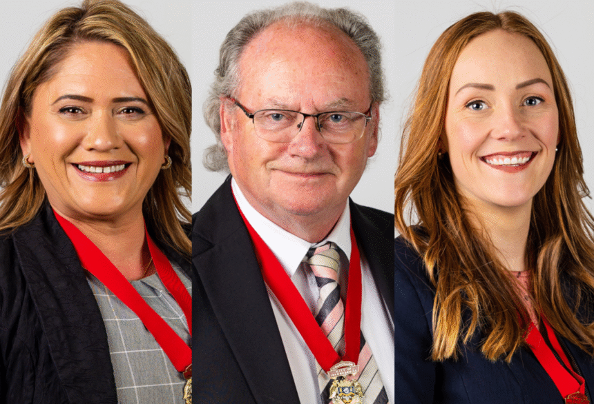 Southern mayoral hopeful’s website ‘horrendous’
