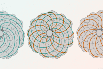 Students Find Hidden Fibonacci Sequence in Classic Probability Puzzle