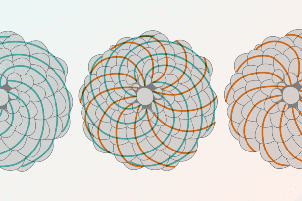 Students Find Hidden Fibonacci Sequence in Classic Probability Puzzle