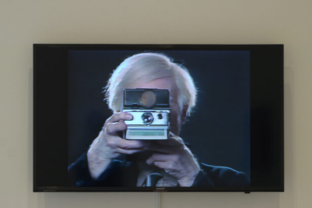 Take a Trip Down the Catwalk With Andy Warhol 