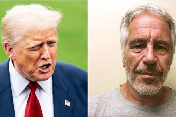 Team Trump Rips ‘Lying’ Biographer After Writer’s Epstein Claims