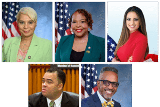 The 5 most vulnerable assemblymembers