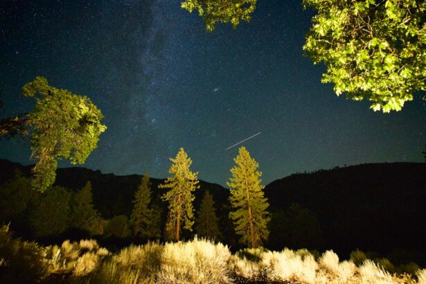 The Perseid Meteor Shower Is Peaking. Here’s How to Watch
