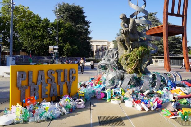 The art of a plastics treaty: How sculptures, collages, and poetry have influenced global talks