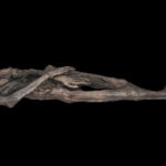 This ancient Siberian ice mummy had a talented tattooist