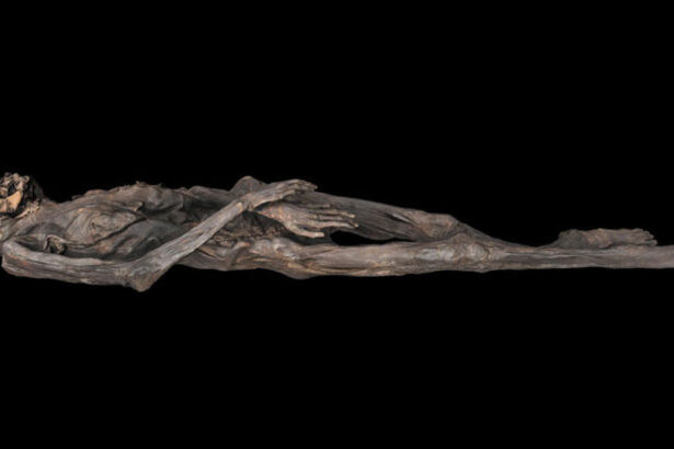 This ancient Siberian ice mummy had a talented tattooist
