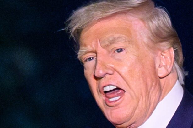 Trump Has A Middle-Of-The-Night Meltdown At Ex-GOP Official