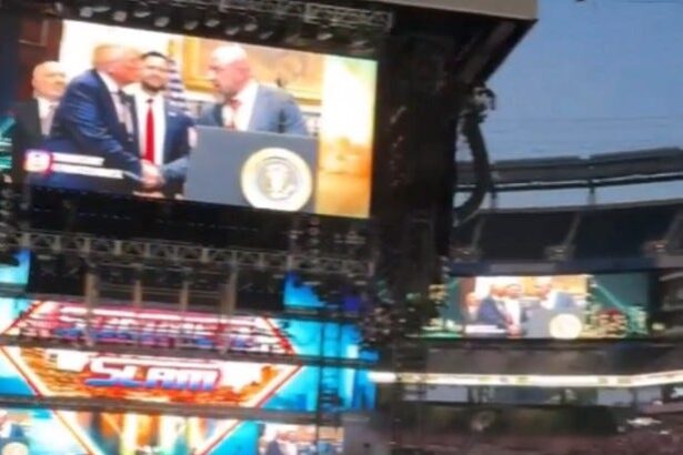 Trump Has Nowhere To Hide As He Even Gets Booed At WWE SummerSlam