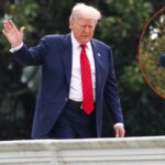 Trump Walks On White House Roof and Rambles Amid Dementia Rumors