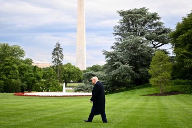 Trump calls to federalize D.C., take over police after ex-DOGE staffer attacked : NPR