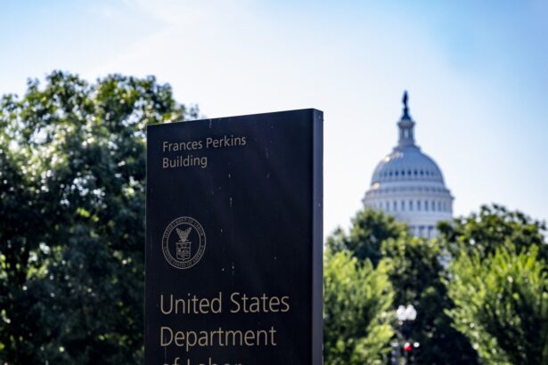 Trump taps conservative economist E.J. Antoni to head BLS : NPR