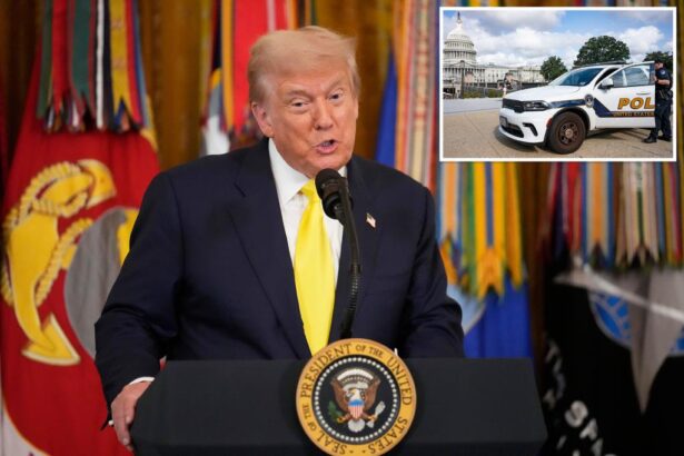 Trump to host news conference to ‘stop violent crime’ and make DC ‘one of the safest’ cities in the world