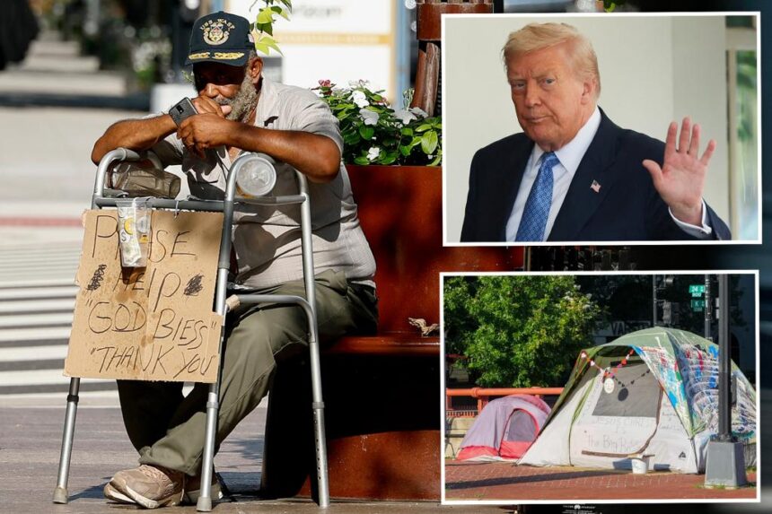 Trump vows to push homeless people out of DC, jail criminals: ‘No MR. NICE GUY’