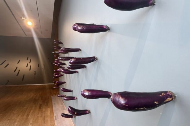 Visitors Can’t Keep Their Hands Off This Eggplant Artwork