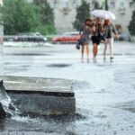 What Can You Do About Nonpoint Source Pollution?