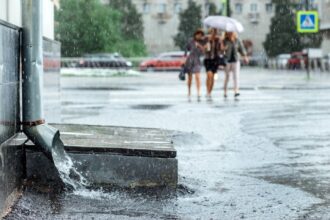 What Can You Do About Nonpoint Source Pollution?