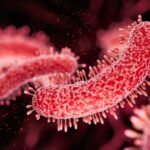 What Is Legionnaires’ Disease? Experts Reveal What To Know About The Latest Spread