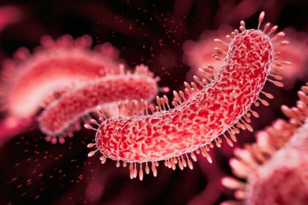 What Is Legionnaires’ Disease? Experts Reveal What To Know About The Latest Spread