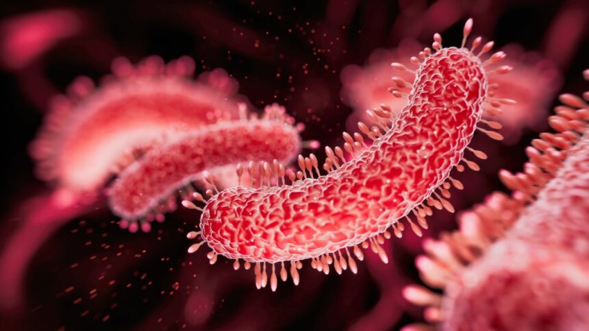 What Is Legionnaires’ Disease? Experts Reveal What To Know About The Latest Spread