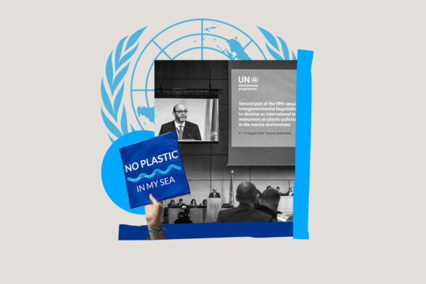 Who’s who at the plastics treaty talks, from delegates to lobbyists