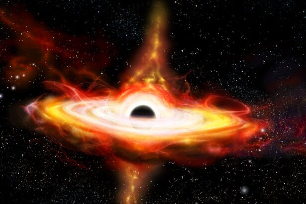 Why Do Black Holes Spin?