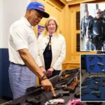 gang takedowns, gun seizures and precision policing