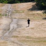 Climate causing heat deaths in Britain