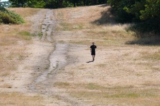 Climate causing heat deaths in Britain