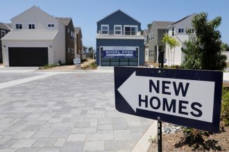 US new home sales jump to more than 3-1/2-year high; economists dismiss rise as a fluke