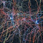 Lung cancer plugs into the mouse brain