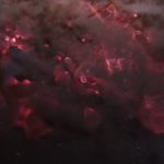 See a 3-D map of stellar nurseries based on data from the Gaia telescope