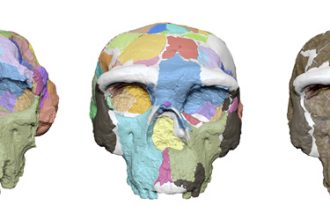An ancient Chinese skull might change how we see our human roots