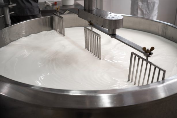 Pasteurization destroys H5N1 bird flu in milk