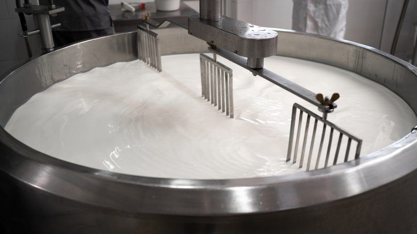 Pasteurization destroys H5N1 bird flu in milk