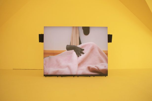 10 Exhibitions to See in Chicago Fall 2025