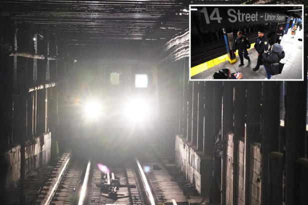Off-duty NYC cop pushed onto L train subway tracks by homeless man: police sources