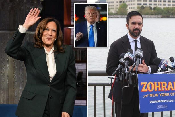 Kamala Harris offers half-hearted endorsement of NYC mayoral candidate Zohran Mamdani: ‘Sure’