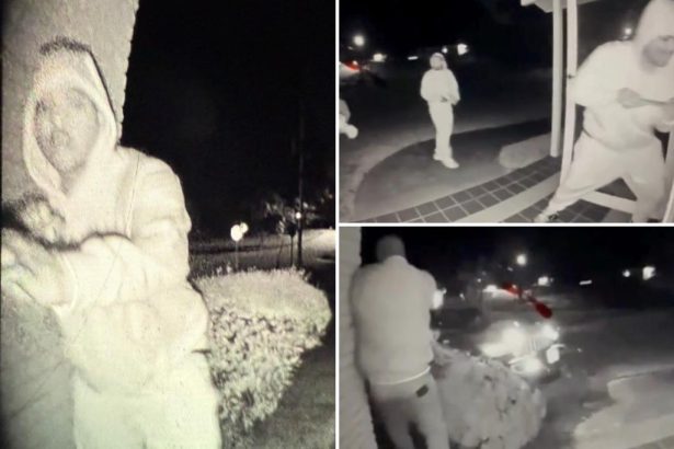 Chilling video shows homeowner being shot and killed while interrupting burglars
