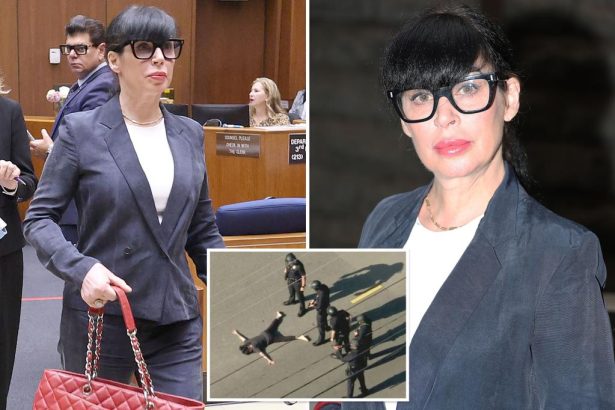 Weezer bassist’s wife Jillian Shriner to attend 2-year mental health program after firing at LAPD cops