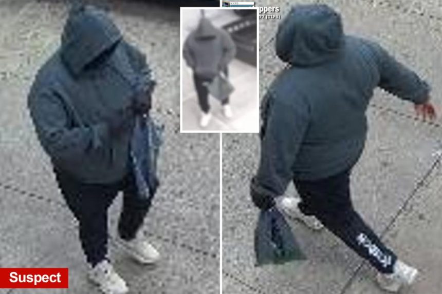 Cunning gunman steals K from NYC landlord, 99, in broad-daylight heist: cops