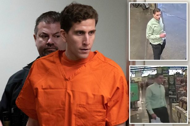 Eerie video shows Bryan Kohberger calmly shopping just hours after butchering four Idaho students