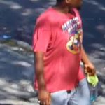 NYC sicko attempted to rape girl, 13, before attacking 15-year-old hours later: cops, sources