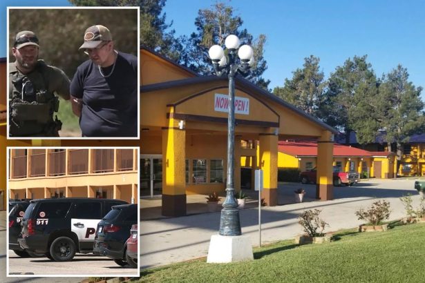 Delivery app driver gets order for zip ties, bleach and a hatchet — here’s what he did