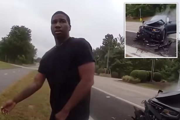 ‘Bored’ Illinois motorist purposely rams car into police cruiser during traffic stop: ‘I hate cops’