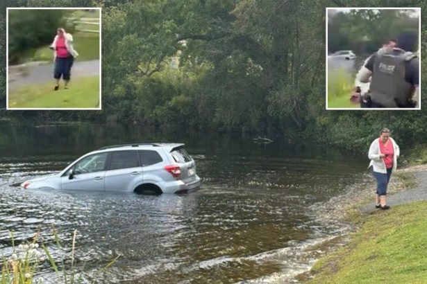 Woman’s car sinks in lake as she protests ICE arrests in Massachusetts